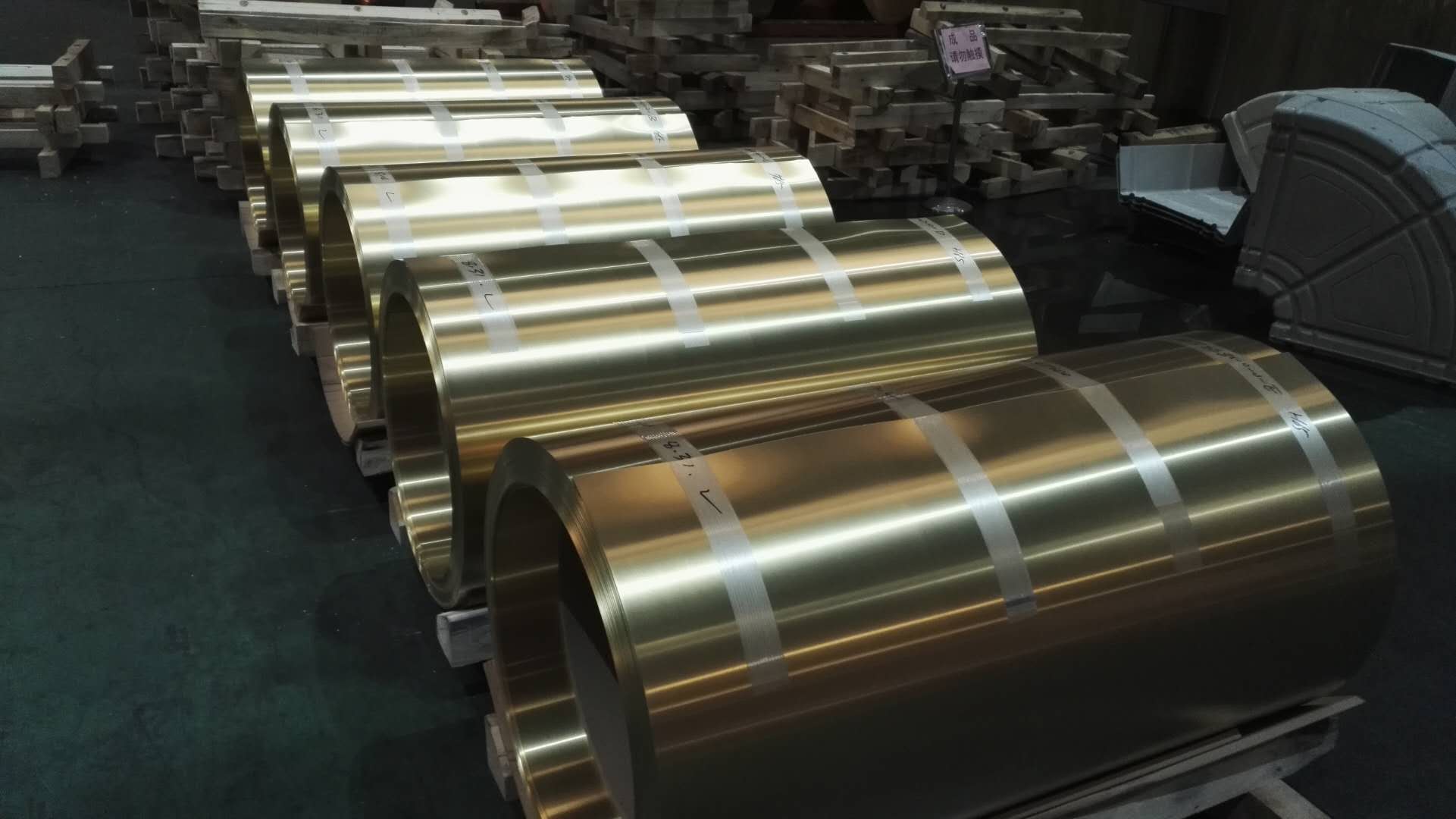 银杏视频看片的