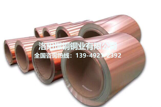 银杏视频免费播放在线观看